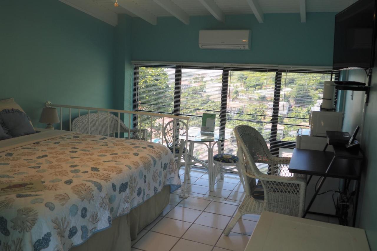 The Green Iguana Hotel ชาร์ลอตต์อะมาลี ภายนอก รูปภาพ