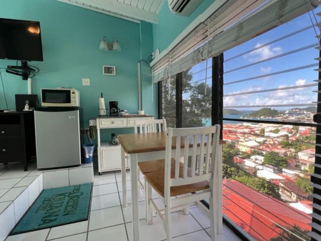 The Green Iguana Hotel ชาร์ลอตต์อะมาลี ภายนอก รูปภาพ